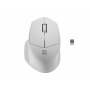 RATON NATEC SISKIN 2 INALAMBRICO 1600 DPI BLUETOOTH 50 24GHZ BLANCO