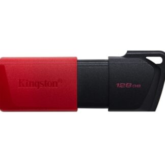Kingston - Exodia M Memoria USB 128GB - USB 3.2 Gen 1 - Capucha móvil - Enganche para Llavero - Color Negro