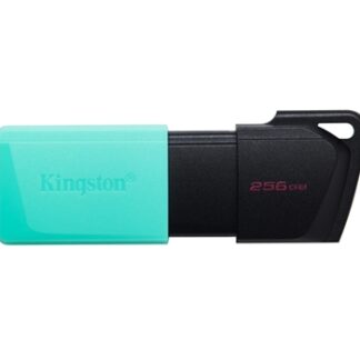 Kingston - Exodia M Memoria USB 256GB - USB 3.2 Gen 1 - Capucha móvil - Enganche para Llavero - Color Negro